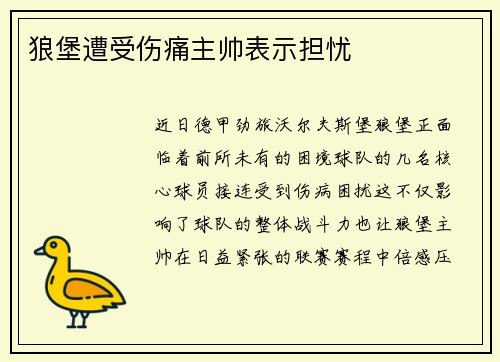 狼堡遭受伤痛主帅表示担忧