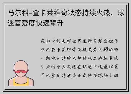 马尔科-查卡莱维奇状态持续火热，球迷喜爱度快速攀升