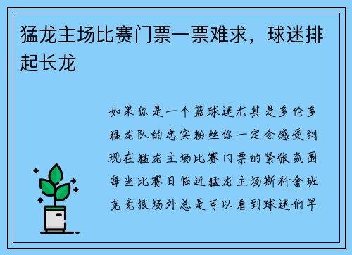 猛龙主场比赛门票一票难求，球迷排起长龙